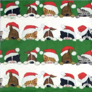 | fRp[W y[p[ivL fRp[Wp y[p[ NX}X Chiristmas xmas y[p[itL@xmasEjChristmas