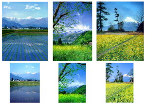 yzʐ^̖G앗iEƁEE lzꍇ1`2l yF12z