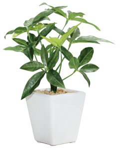 yX܁ECxgpizyO[(ϗtA)z~j|bgEpL12Zbg