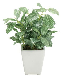 yX܁ECxgpizyO[(ϗtA)z~j|bgEtBbgjA12Zbg