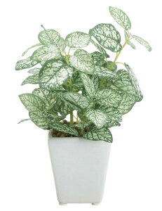 yX܁ECxgpizyO[(ϗtA)z~j|bgEyy~A12Zbg