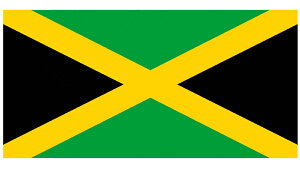 yEE̍zW}CJ(180cm/GNX)