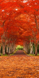 yX܁ECxgpizyHzy^yXg[z^yXg[Egtgl(h)