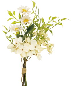 yX܁ECxgpizyHzygtzfBW[lC`[E~j[X6{Zbg