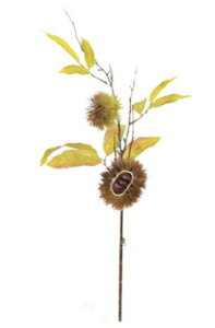 yX܁ECxgpizyHzyH̖oz}u`