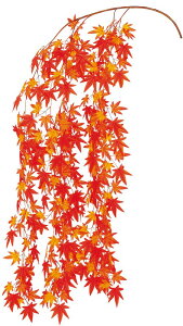 yX܁ECxgpizyHzygtz}V_gt