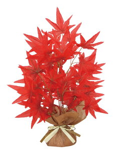 yX܁ECxgpizyHzygtzL[gbvgtE12{Zbg