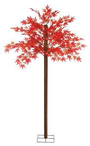 yX܁ECxgpizyHzygtzgt