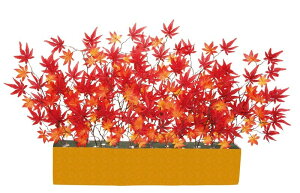 yX܁ECxgpizyHzygtzChX^hgt