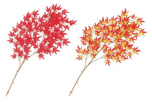 yX܁ECxgpizyHzygtzDX}݂E12{Zbg