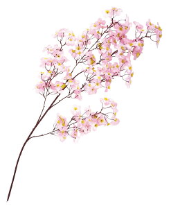 yX܁ECxgpizyGߕʃfBXvCzytzyz}VNE12{Zbg