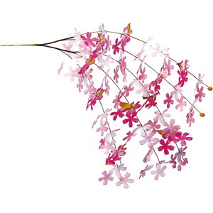 yX܁ECxgpizyGߕʃfBXvCzytzyzX[`F[EV_10{Zbg