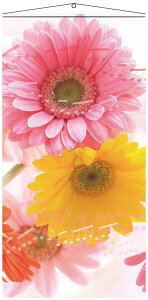 yX܁ECxgpizyGߕʃfBXvCzytzy^yXg[z^yXg[EK[xfB(hH)