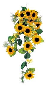 yX܁ECxgpizyāzyq}zTt[oC