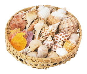 yX܁ECxgpizyāzy}zCeAVF500g