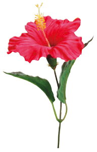 yX܁ECxgpizyāzygsJznCrXJXsbN(24{Zbg)