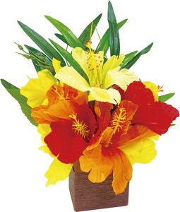 yX܁ECxgpizyāzygsJzT}[gsJPOP