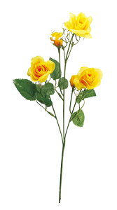 yX܁ECxgpizyāzy̓zXvCCG[[YE48{Zbg