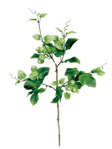 yX܁ECxgpizyāzXvCEzbv