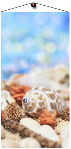 yX܁ECxgpizy^yXg[zyāzLk