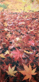 【店舗・イベント用品】【秋】【タペストリー】紅葉枯葉