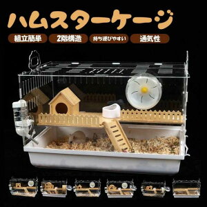 œK X^[CgP[W SʃNA  ^TCY P[W L ̐^ K ֗ ϋv ʂ悢 S[fnX^[ bg nlY~ ঒ pP[W