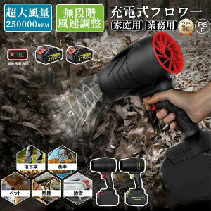 洗車 充電式ブロワー ブロワ強力電動エアダスター ジェットドライブロワー 120m/s 250000rpm 高速回転 軽量小型コードレスブロワー 多用途 21Vバッテリー対応 日本製ターボジェットファン ミニ