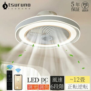 F LED V[Ot@ DC[^[  @ k t] 6 8 10 12 Rt APPΉ t@tƖ 6iKʒ LEDV[OCg Ɩ VƖ É 