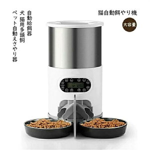  Lp ybg La@ e 蓮a ^ 莞 14H 2Wayd ^Nŉa̎cʊmF XeXg2