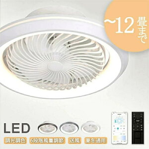 V[Ot@Cg U T[L[^[ dC t@tƖ 6iK É 10  ^ y F V[OCg DC[^[ ledCg @ d VƖ 