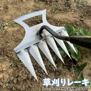 K[f[L XeX 6{ 6 F  ؕt pr y Yf|[L pr  G G G΍ 蓹 K[fjO  t| c Ő ړy