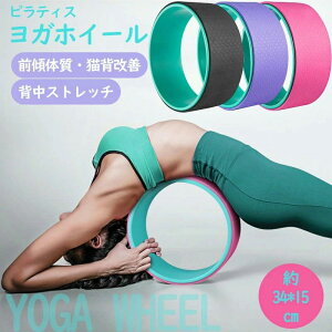 KzC[ a34×15cm TPEf KO KT[N K wXgb` K seBX Xgb` GNTTCY _CGbg