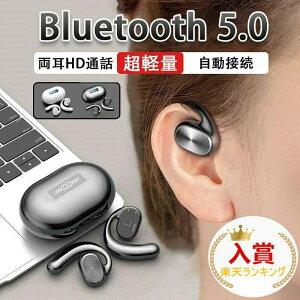 25NVf CXCz ` iPhone Bluetooth y ` Cz  X|[c `Cz Ў jO Bluetooth5.0 R[hXCz Rh IPX7h | a 