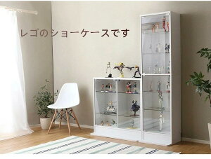 RNVP[X y{́^nC^CvE[^E180cm s29cm 48.5cmz pX RNVbN RNV{[h tBMA P[X I fBXvCbN KXI ǖʎ[ 