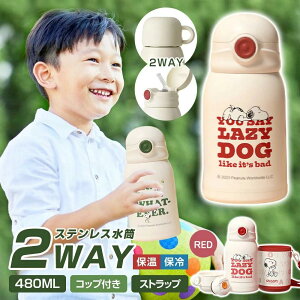 2way  LbY Xg[ Rbvt 480ml  ^b` ۉۗ @r  qǂ LbY  q Xg[  ^b` 킢  LbY y Jo[ a Mt