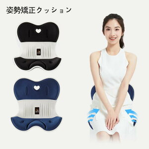 座布団 姿勢矯正 骨盤サポート チェア 骨盤から腰をサポート 腰クッション 腰枕 ランバーサポート 背もたれクッション 人間工学 腰が快適 座椅子として使用可能 軽量 持運び簡単 オフィス