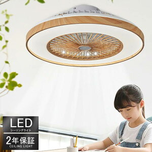 V[Ot@Cg T[L[^[ 2Nۏ V[OCg 50cm g[ DC V[Ot@ 8 10 12  y ^ t@t LED @ ^ F k R 