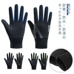  h t[X N hO[u j̎q ̎q qp X|[cO[u ~ TbJ[ WjA h ۉ ]ԃO[u ʊw X| TCN oR