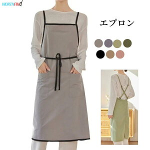 Gv  킢 fB[X Y 傫TCY JtFGv H^ Gv  n T Gv Gv JtF i` [NGv IV l k JtF 