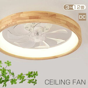 y10%OFFN[|z V[Ot@ VR V[Ot@Cg t@tV[OCg LED Ebh ^ 8 10 ؖڒ y VƖ CƖ  dc[^[ F 