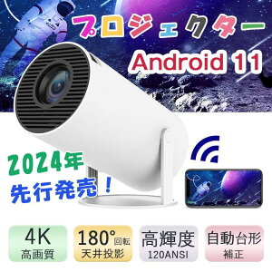 _P10KȐIz[fقy݂܂傤I^ z[vWFN^[ vWFN^[ { Android 11.0 q ^ ƒp V 4KΉ \ `␳ Ze X}z 5GW