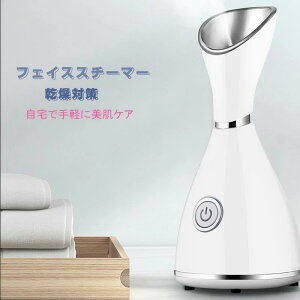 レベルアップ 加湿器 フェイススチーマー 美顔スチーマー フェイシャルスチーマー 加湿器 スチーマー美顔器 イオンケア ミスト 保湿 乾燥対策 スキンケア 毛穴ケア 卓上 アロマ対応 美容 乾