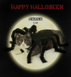 nEB w RXv ybgp ybg RXv   L  RXv L RX`[ RXvߑ ybg  L 낢 ^ ^  cosplay n