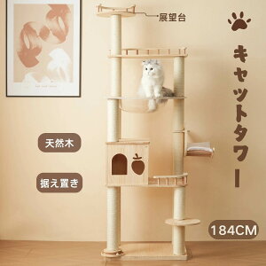 Lbg^[ u FD ؐ B ^   Lbg^[ ؐ ^ R ܂Ƃ Lxbh SS ybgpi ^L qL  VjAL ^s