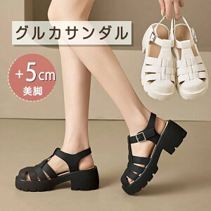 T_ OJT_ T_ ҂ݍ ҂ݏグ X|[cT_  PU ؂ fB[X T_ ČC 5cmq[ C