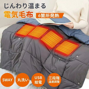 dCѕz |闼p {q[^[ 􂦂 USBd g ۉ 5WAY 3Ki uPbg Ђ| q[^[ ѕz dCѕz 110x132cm  ې􂢉 _炩 傫 dCѕz d