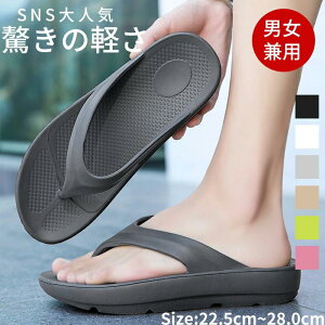 jp r[`T_ gOT_  y EVAf ɂȂ ₷ gOT_ Y fB[X  ~ JWAV[Y  Cs ؍ 傫TCY 