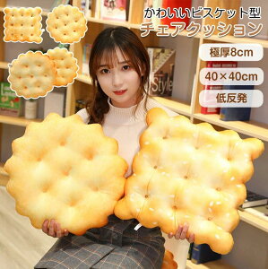 V[g rXPbg^ NbV  ֎q zc Ɍ ی^ 40x40cm CX ԂƂ tANbV `FApbh ̈U ᔽ  k _CjO`FA  q K w