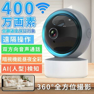 �y���r���[����64GBSD�J�[�h�t�z�����J���� wifi ���� �ƒ�p �Ɩ��p WIFI �Ď��J���� ���C�����X �X�}�z �t��HD ����� �y�b�g �x�r�[ ���� �H���s�v �����ǐ� SD�^�� ���쌟�m �X�}�z�ʒm �h��