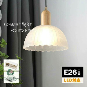 y_gCg k _CjO KX  ݂艺 |V[O _Ng[@VƖ LED Ɩ@1 led _ Vv ͋C fUC   g@Q